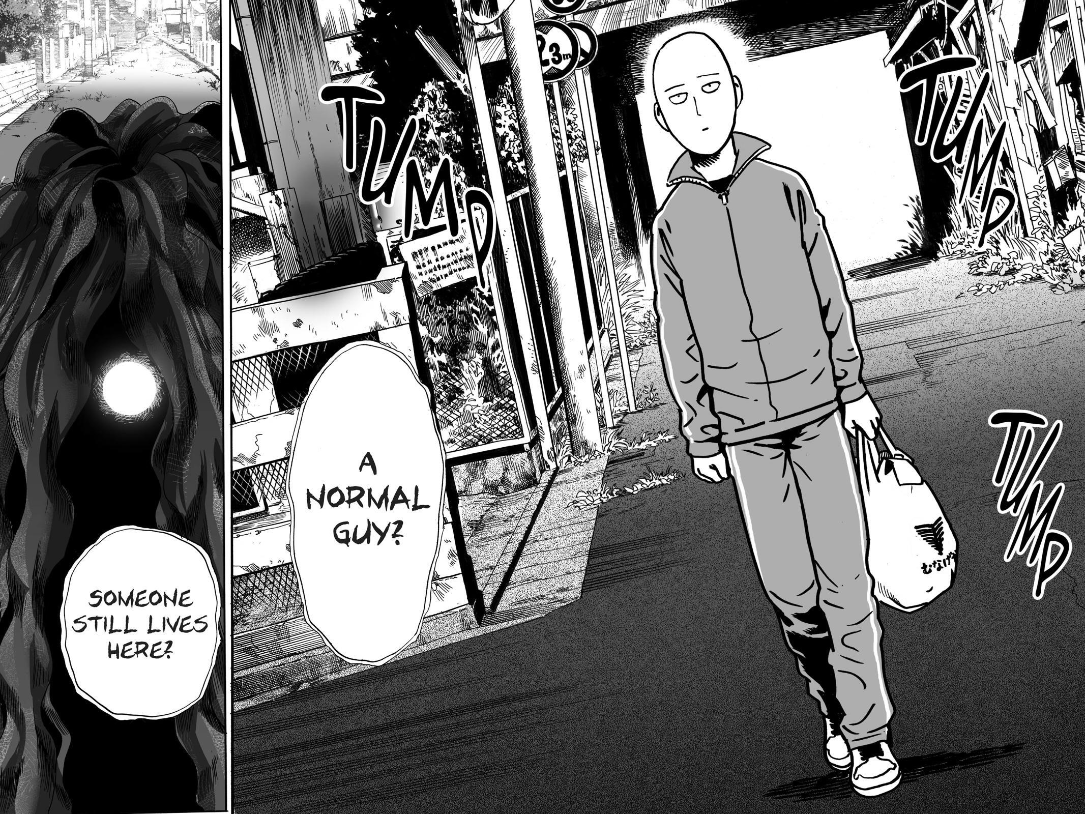 Read One Punch-Man Manga Online