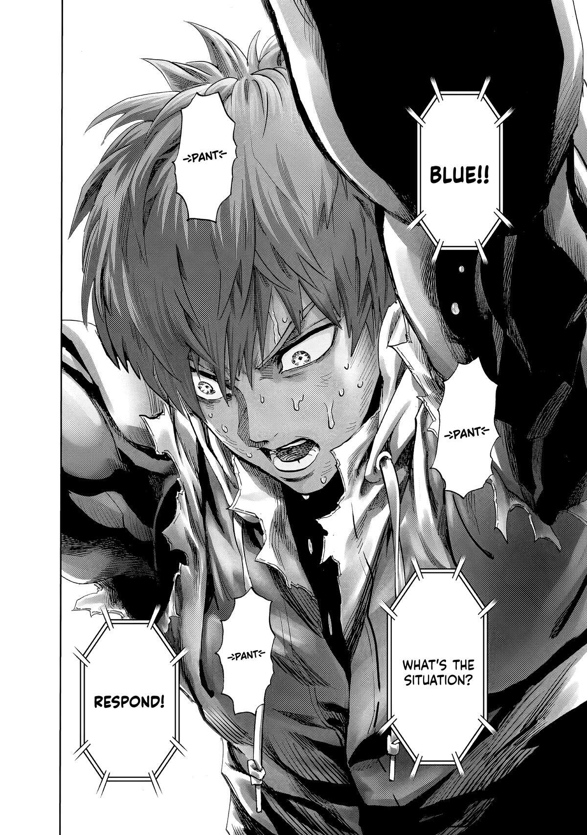 Read One Punch-Man Manga Online