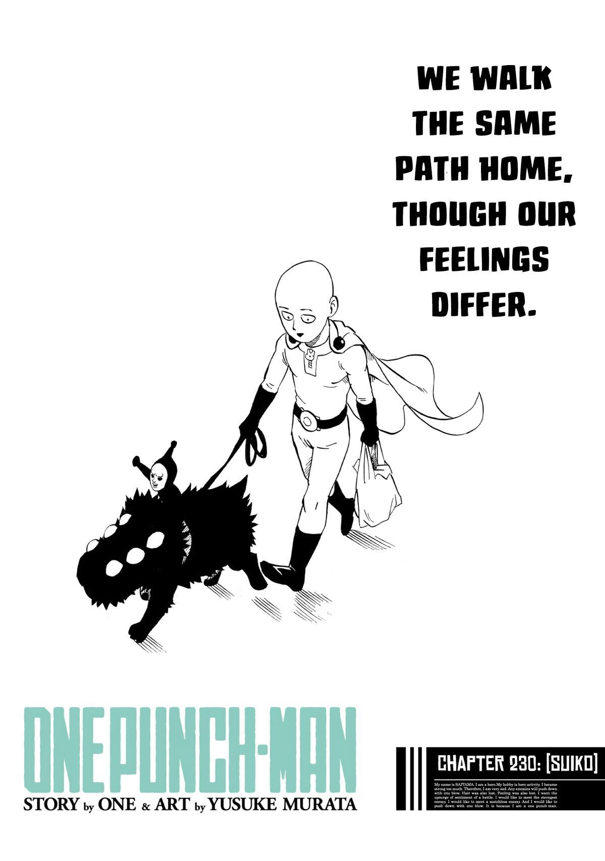 Read One Punch-Man Manga Online