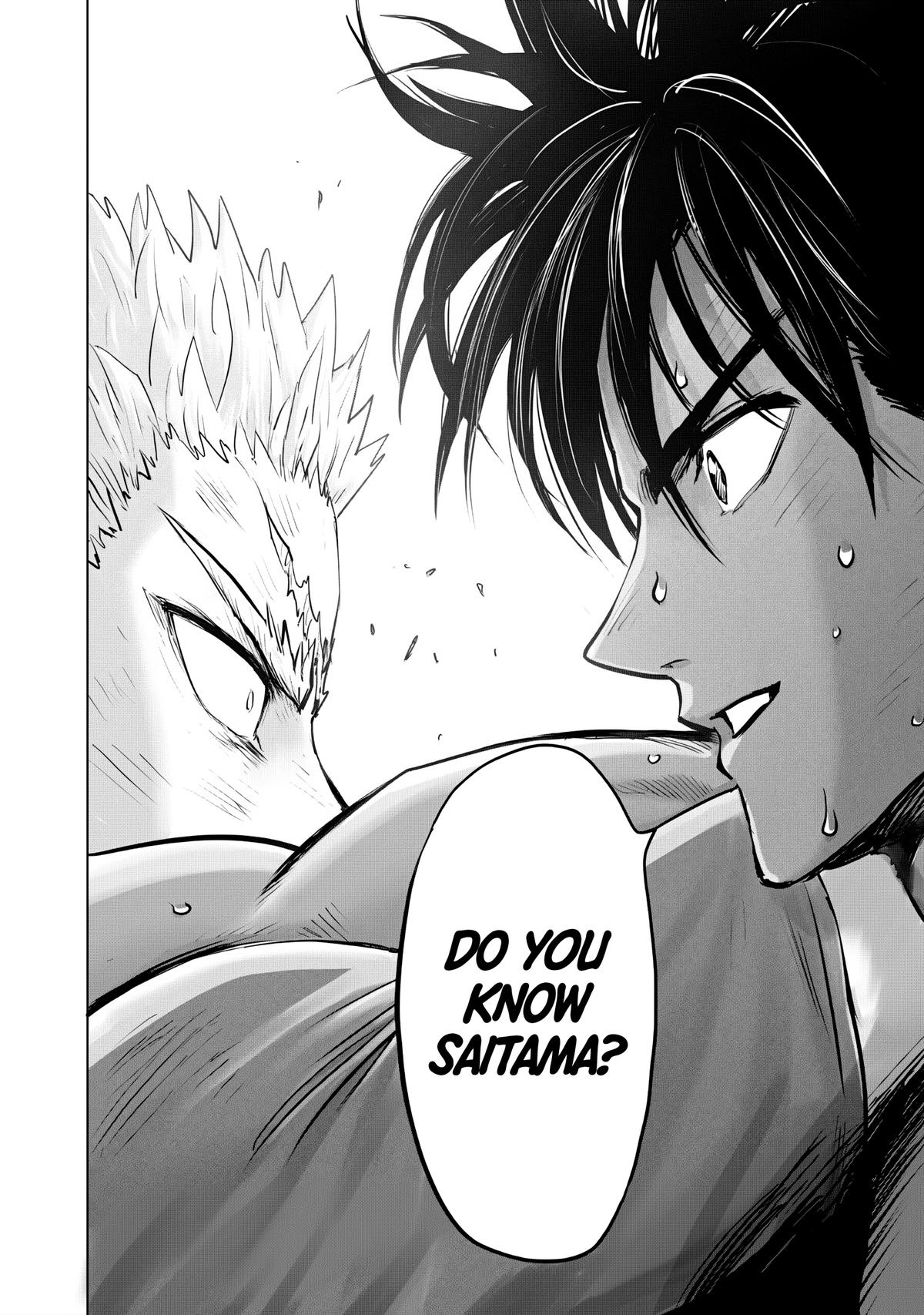 Read One Punch-Man Manga Online