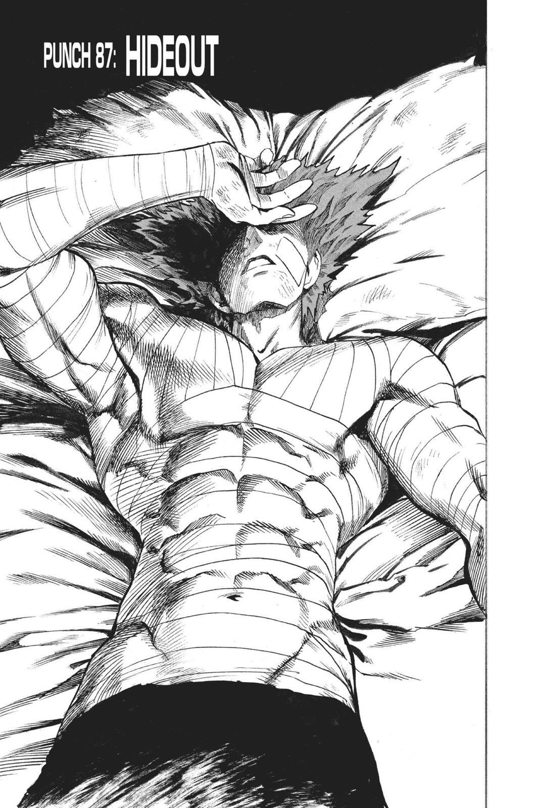 Read One Punch-Man Manga Online