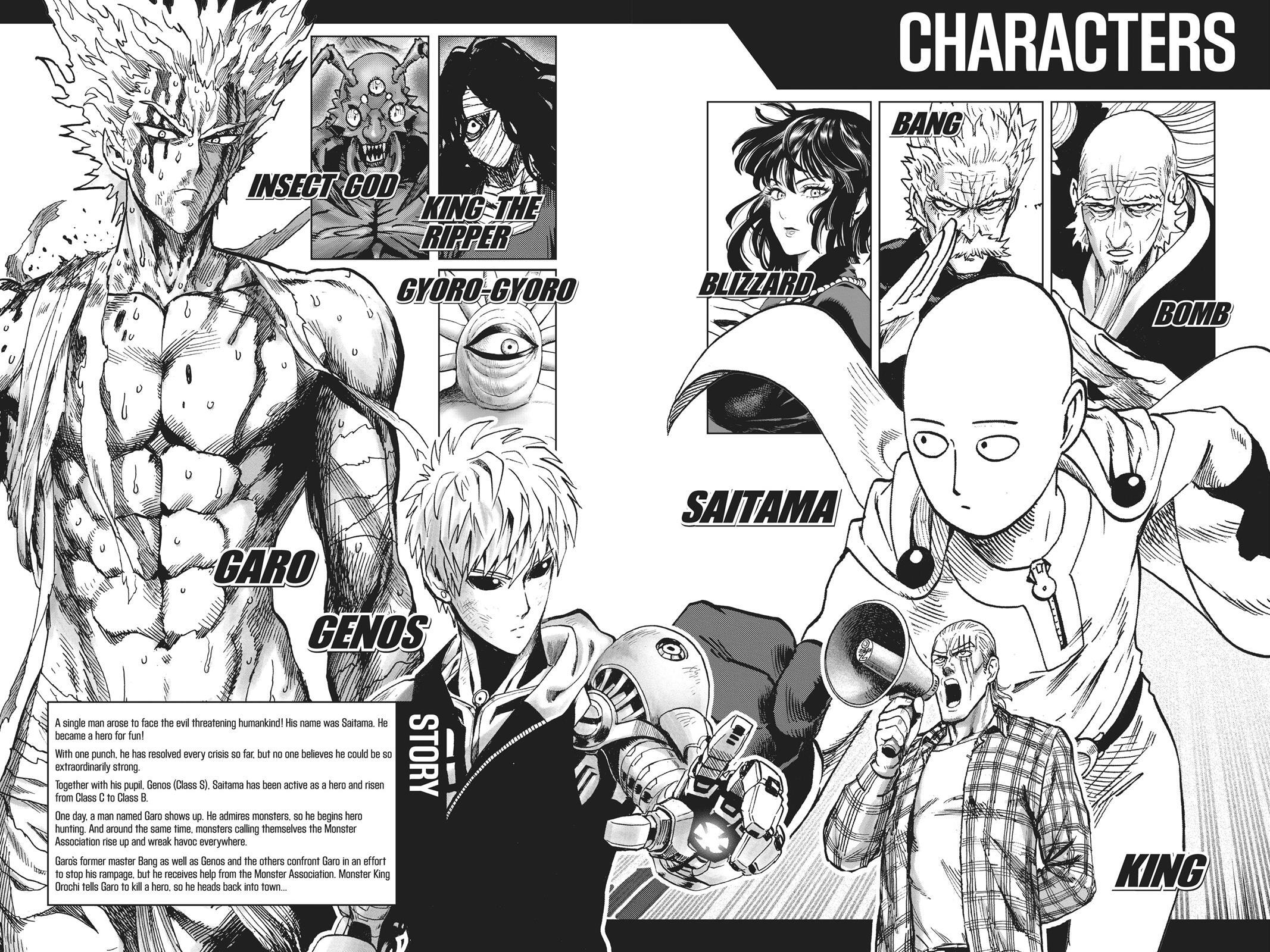 Read One Punch-Man Manga Online