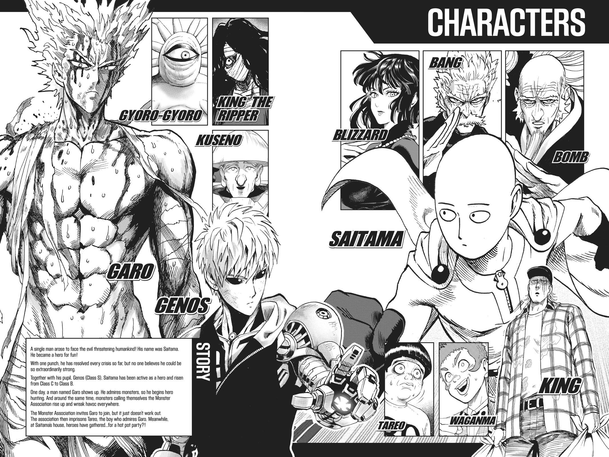 Read One Punch-Man Manga Online