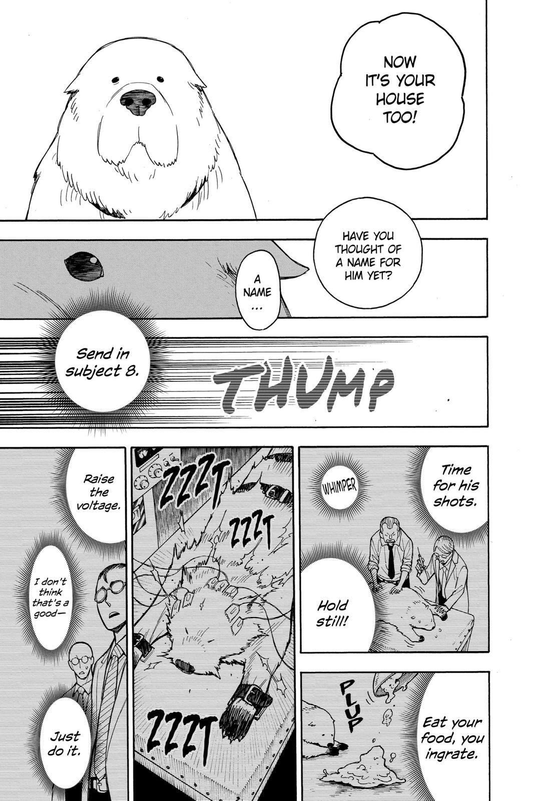 Read SPY×FAMILY Manga Online
