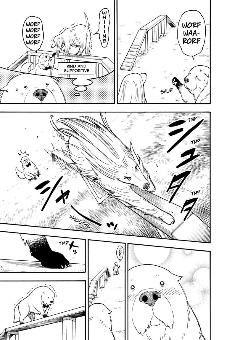 Read SPY×FAMILY Manga Online