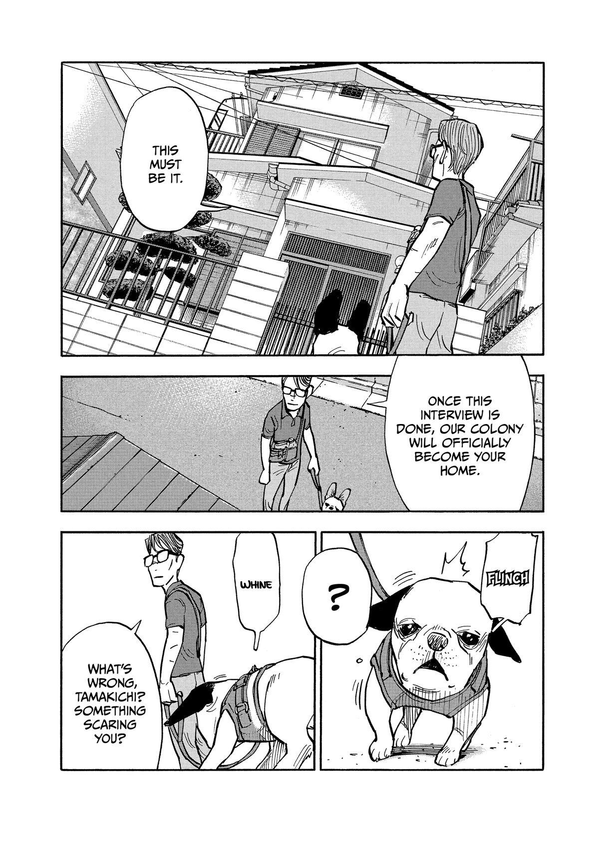 Read Shimazaki in the Land of Peace Manga Online