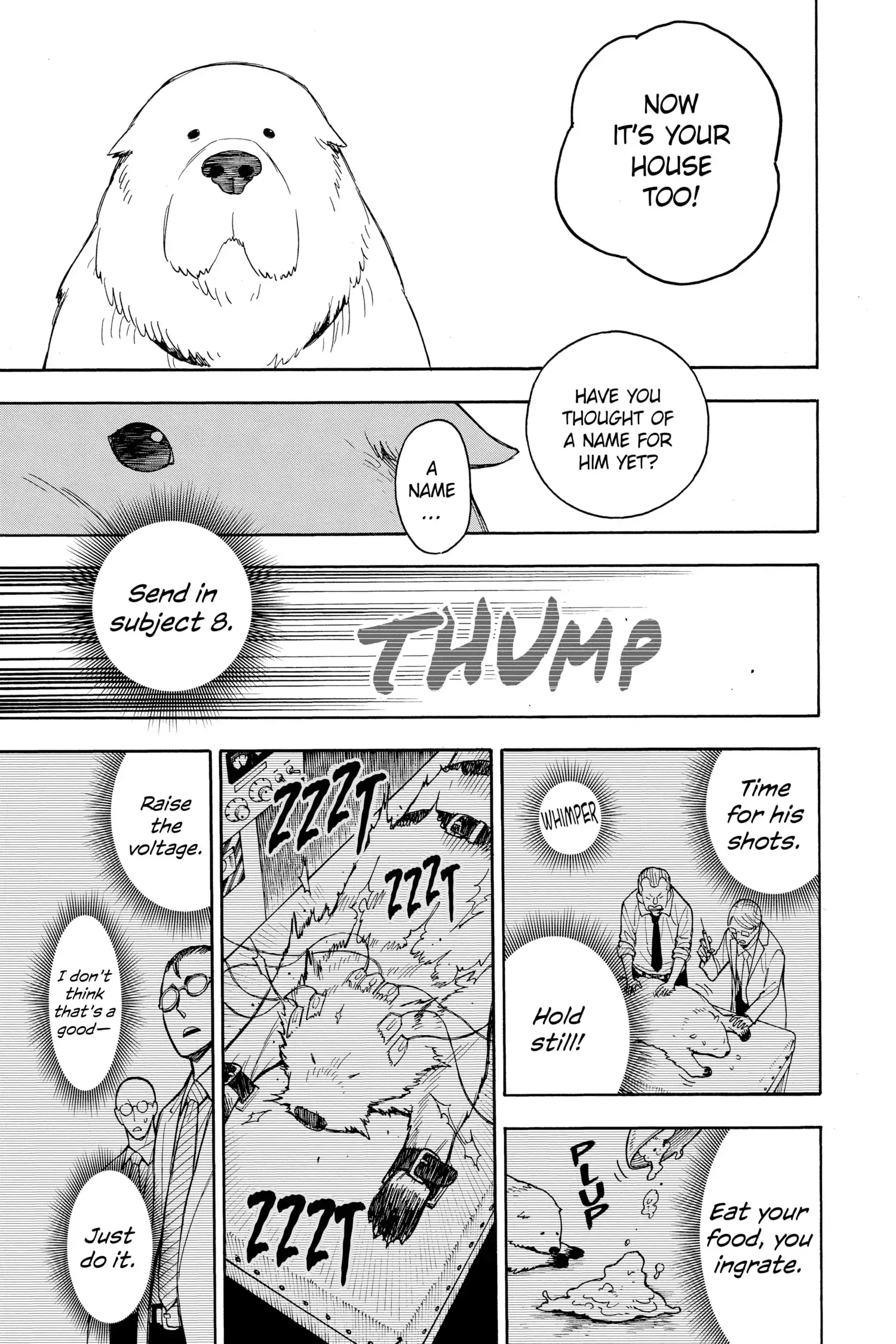 Read Spy x Family Manga Online