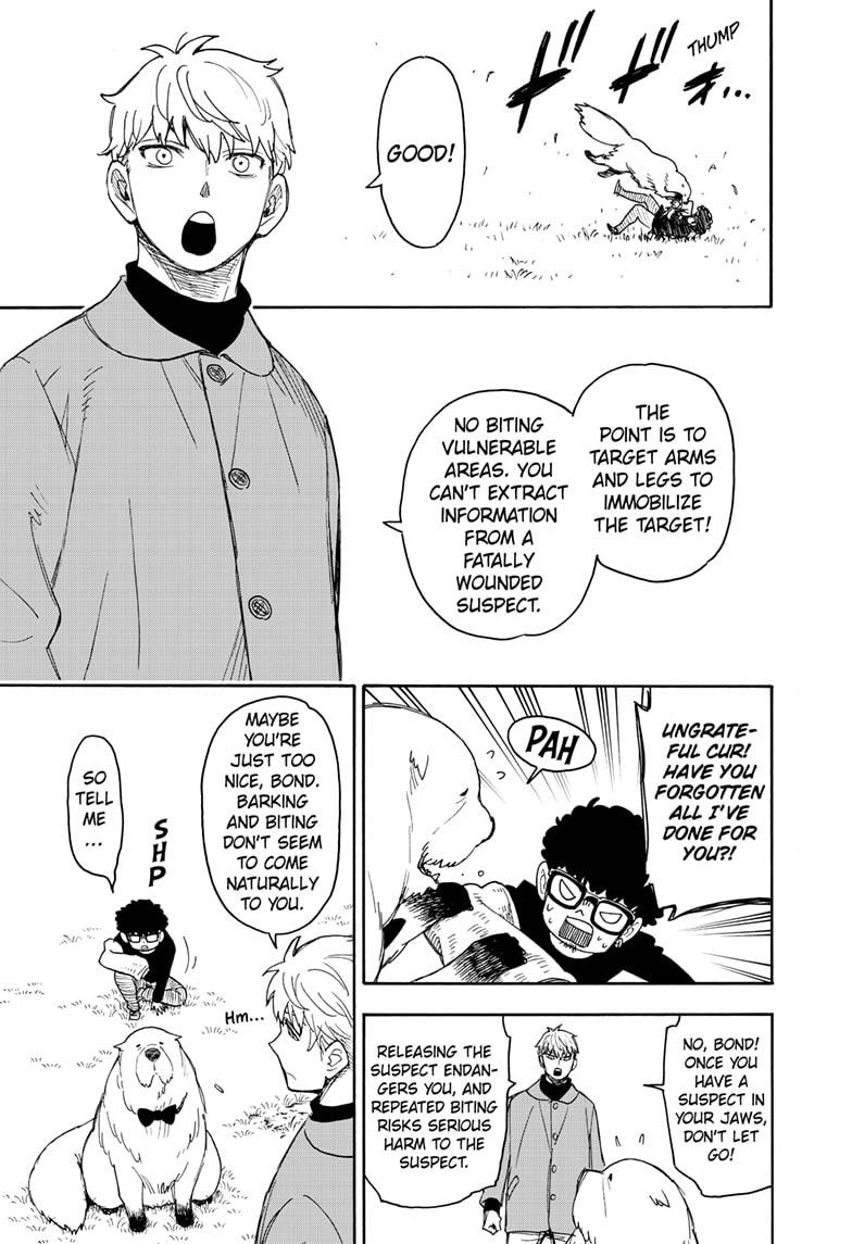 Read Spy x Family Manga Online