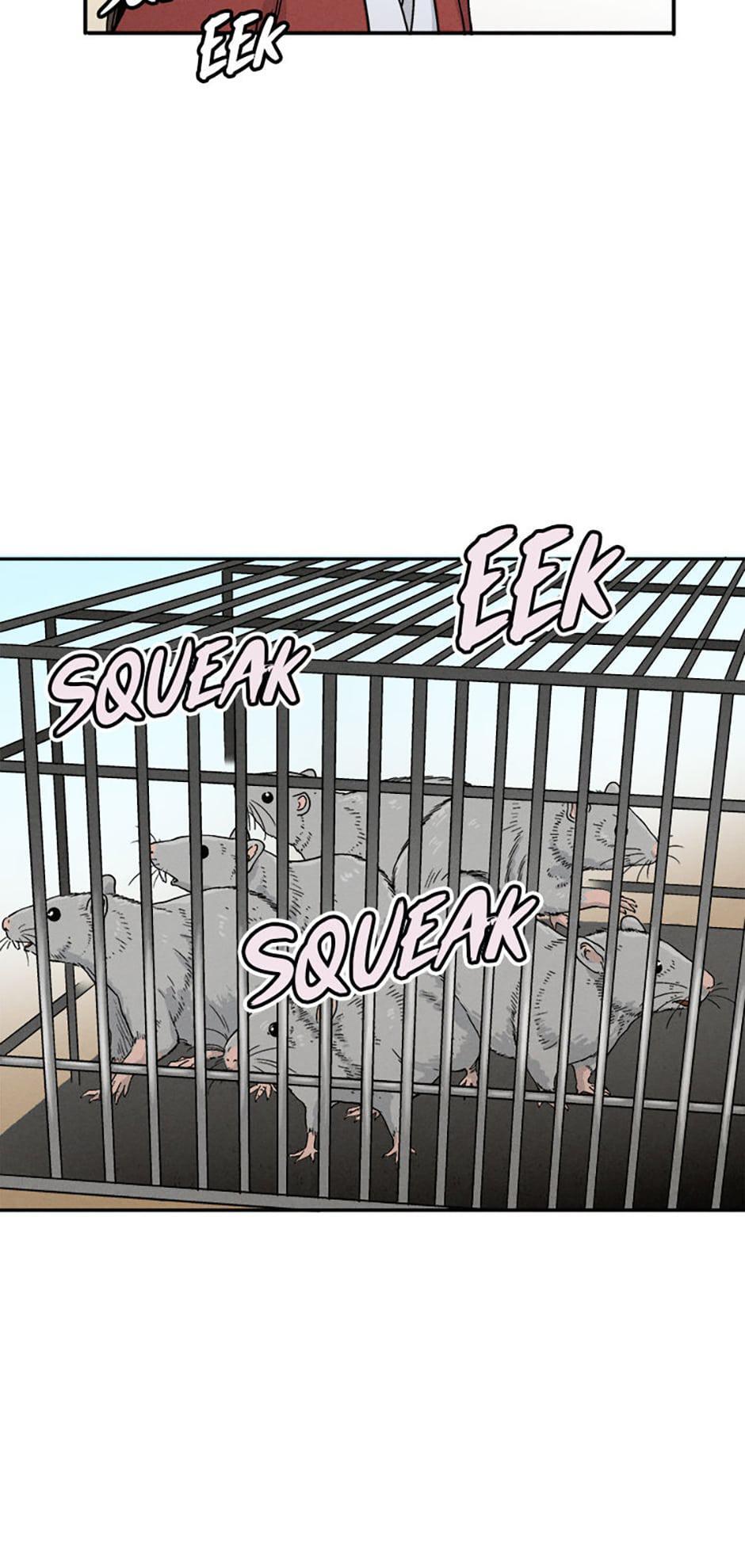Read The Divine Surgeon Manga Online
