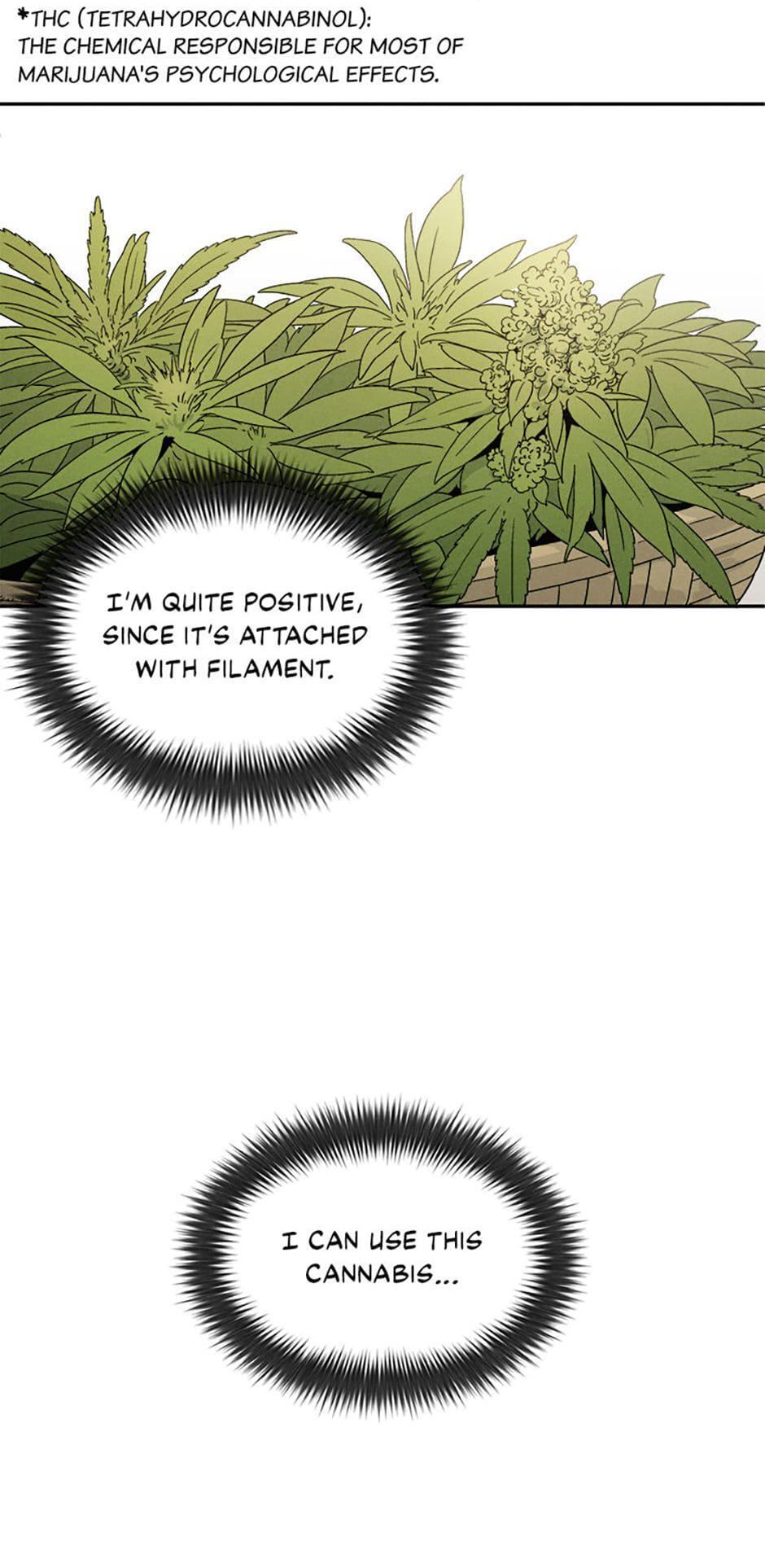 Read The Divine Surgeon Manga Online