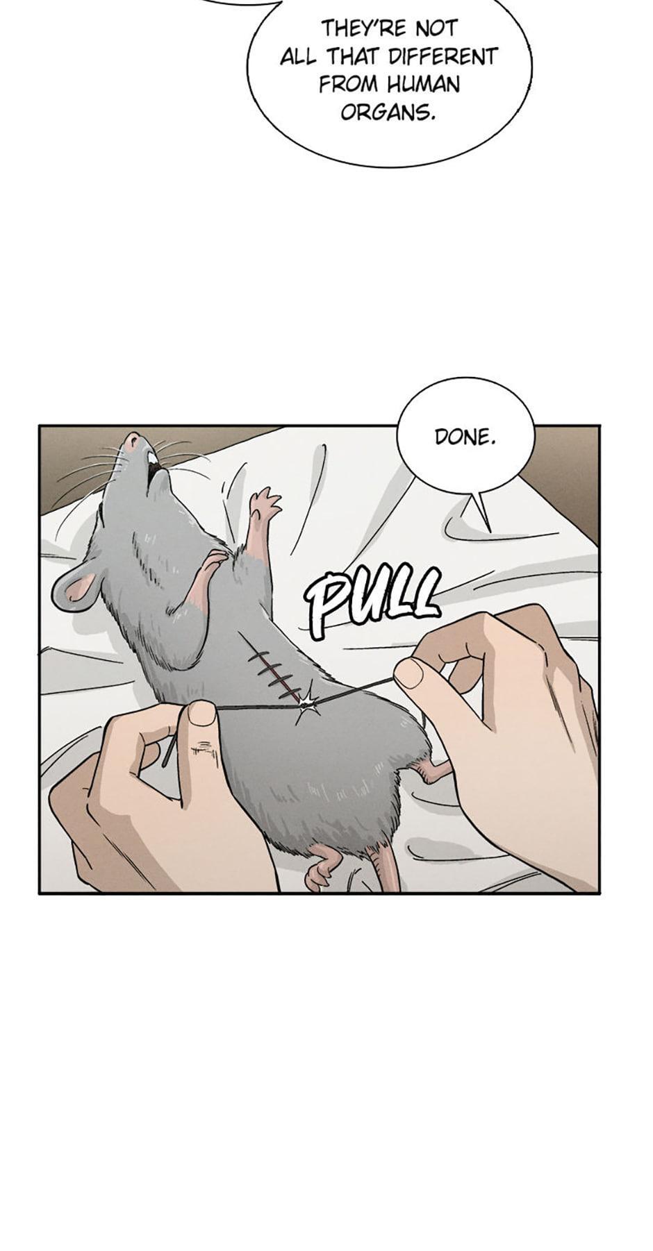 Read The Divine Surgeon Manga Online