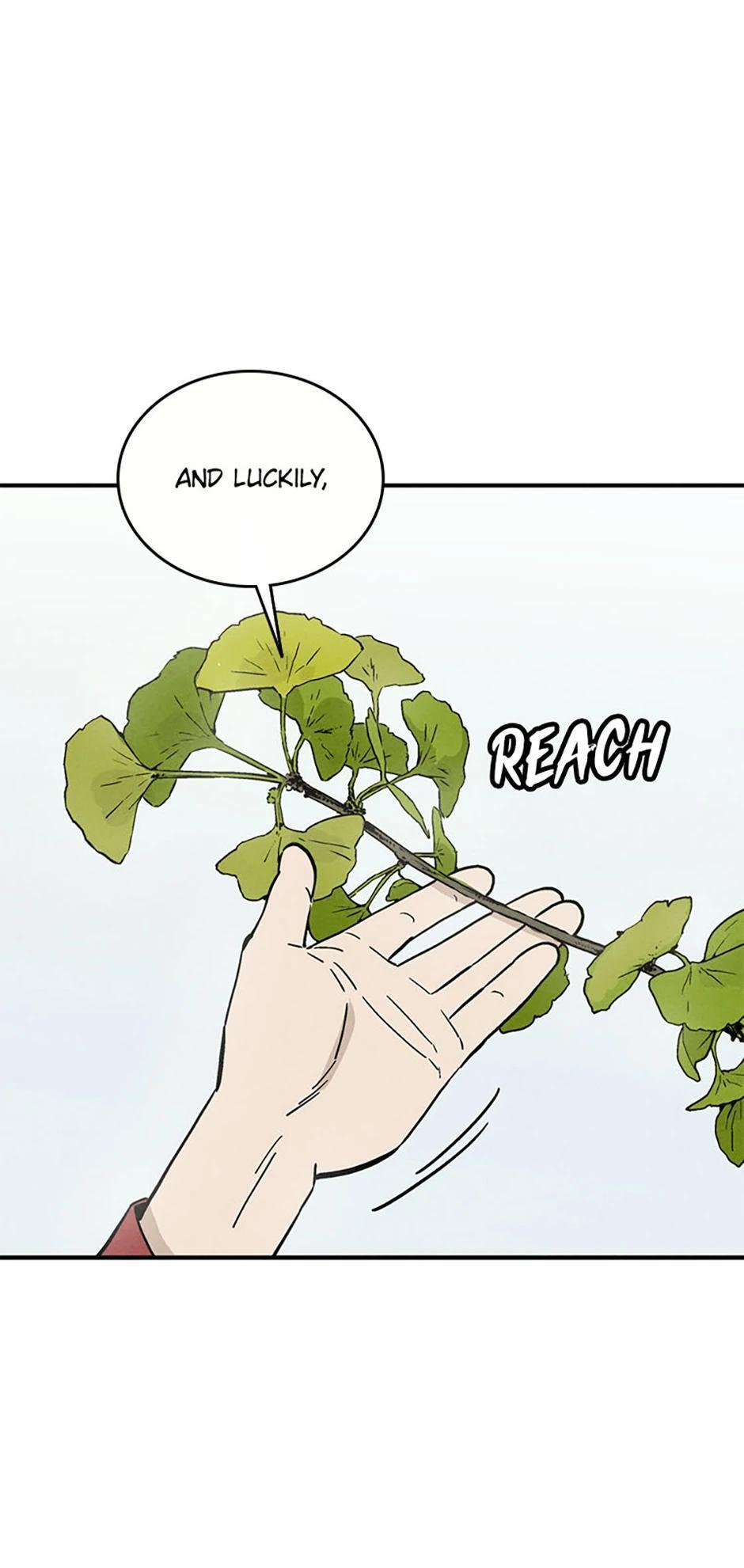 Read The Divine Surgeon Manga Online