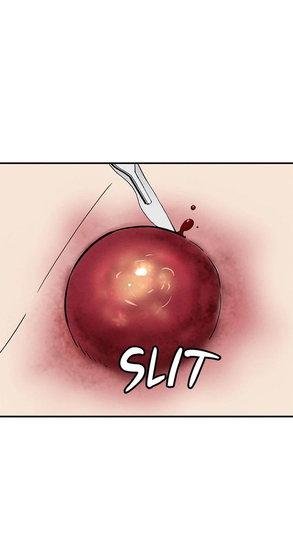 Read The Divine Surgeon Manga Online