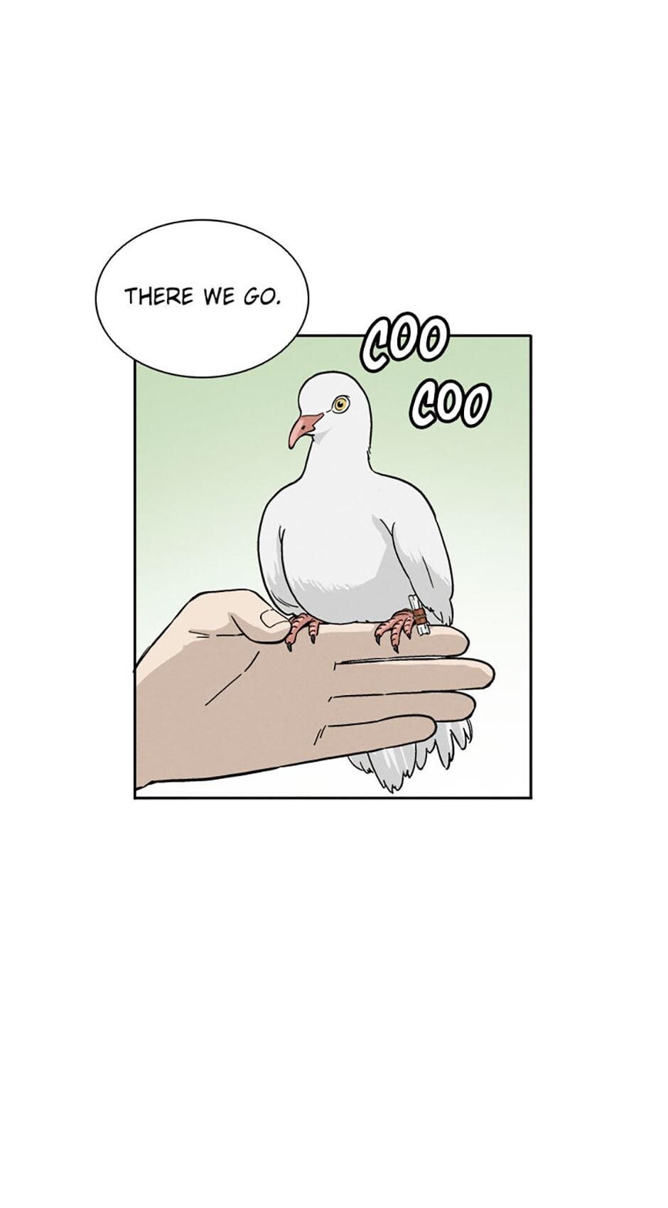 Read The Divine Surgeon Manga Online