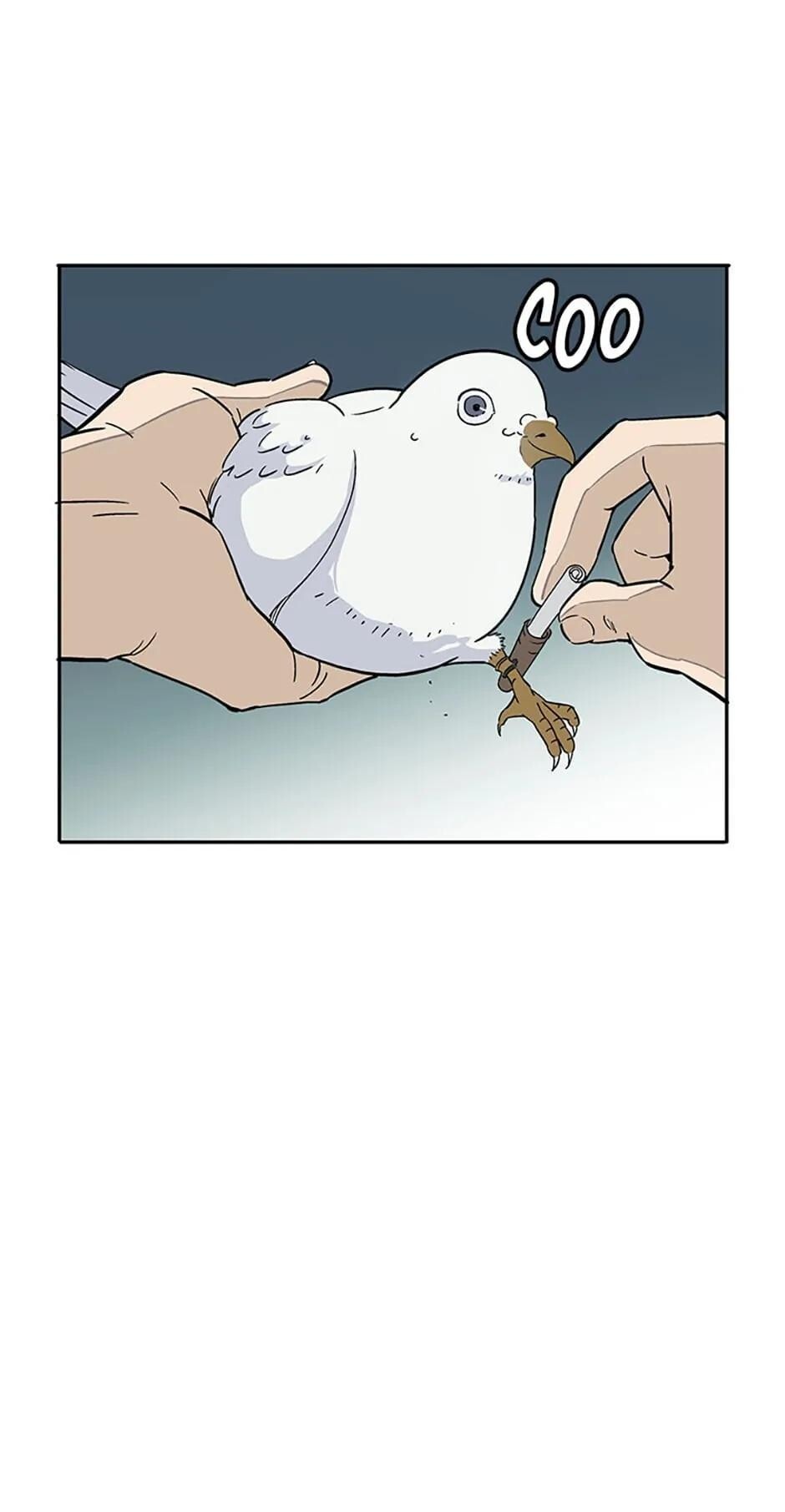 Read The Divine Surgeon Manga Online
