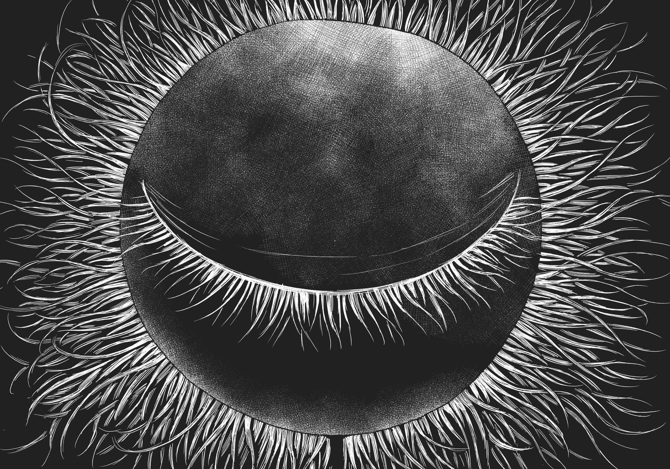 Read The Flowers of Evil Manga Online