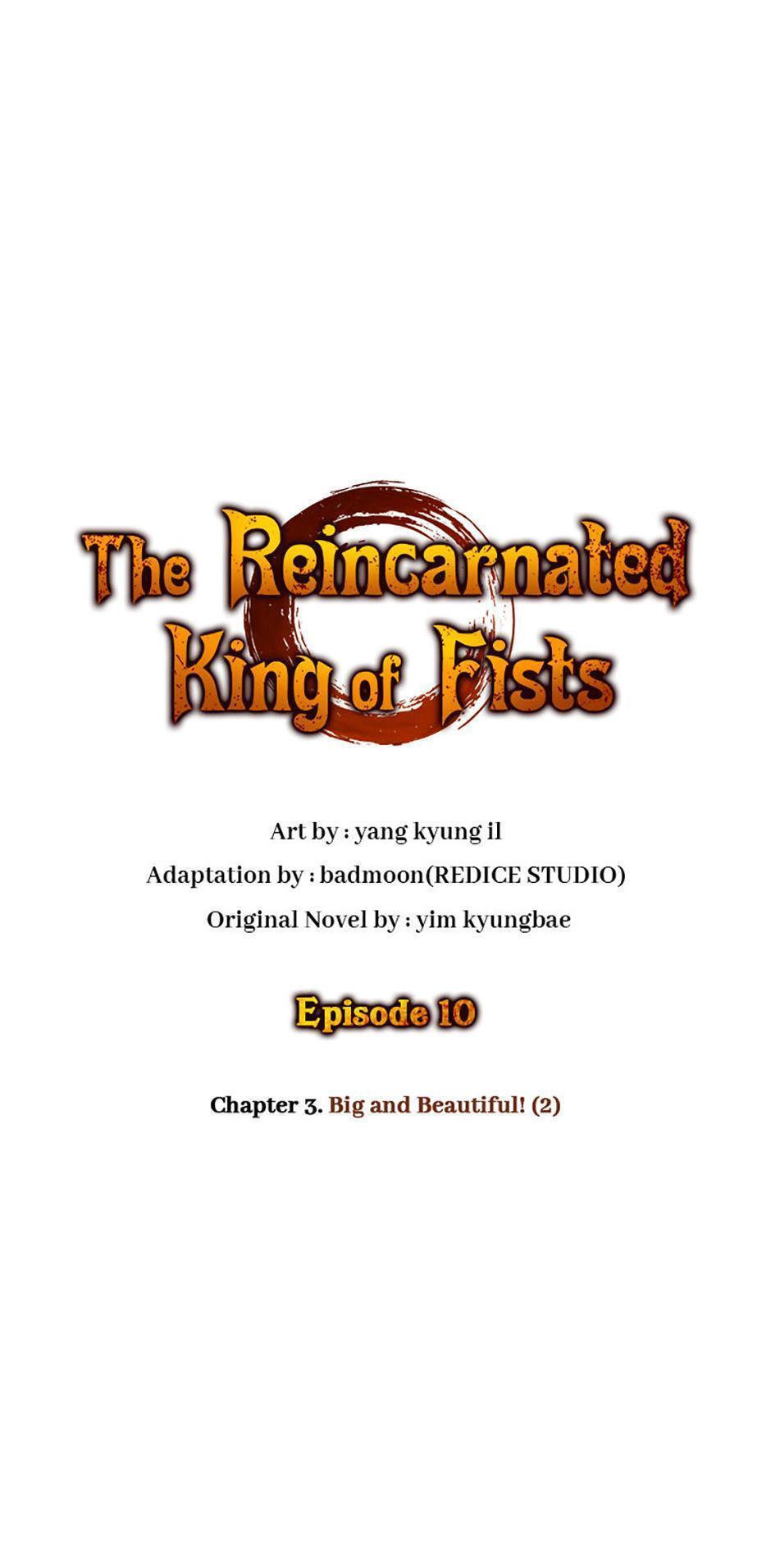 Read The Reincarnated King of Fists Manga Online