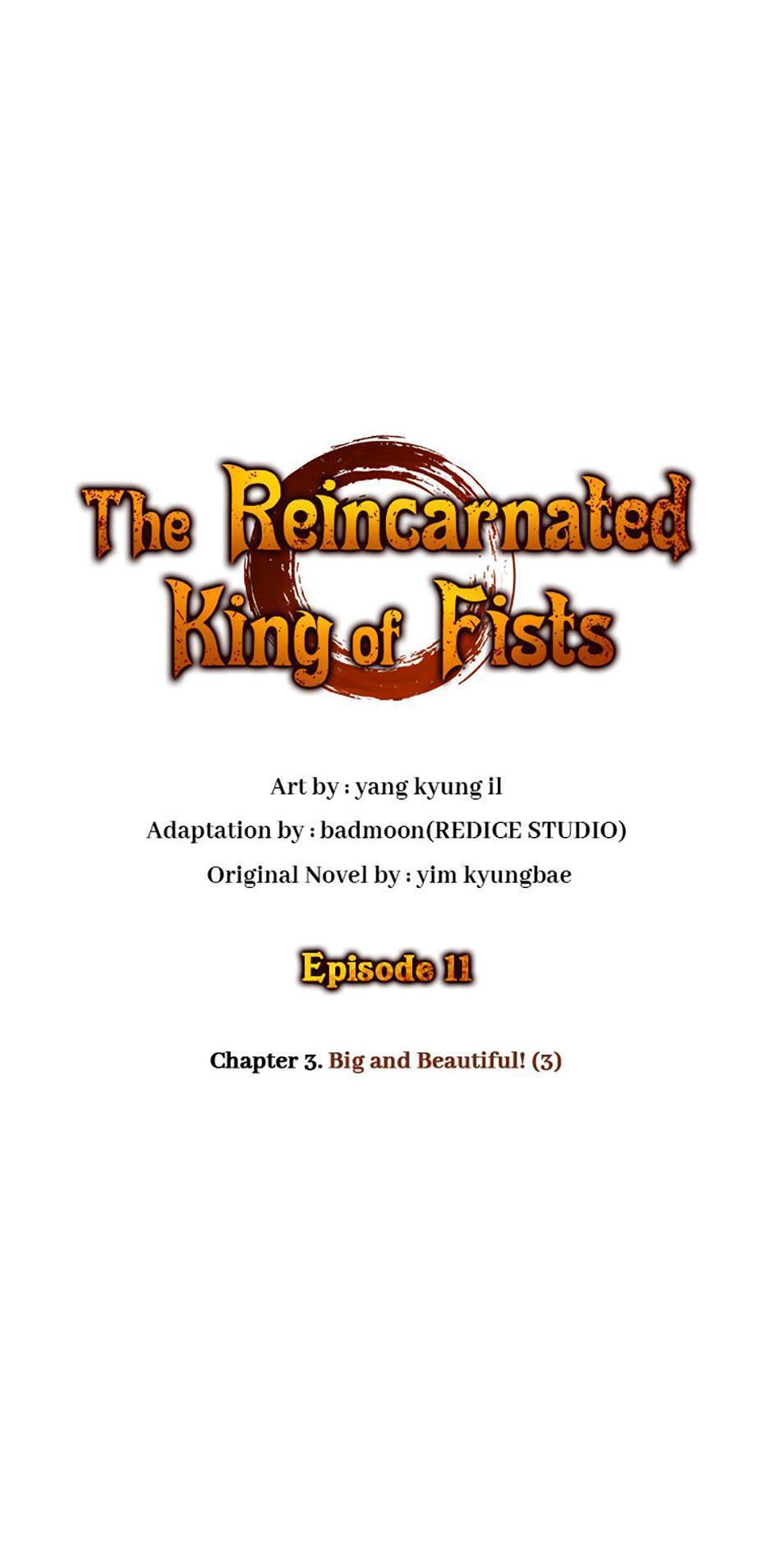 Read The Reincarnated King of Fists Manga Online