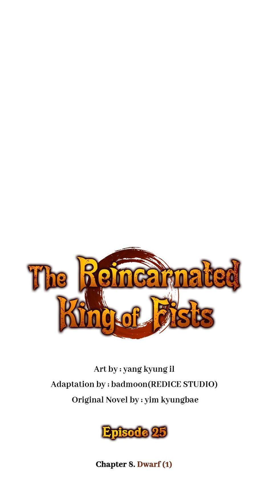 Read The Reincarnated King of Fists Manga Online
