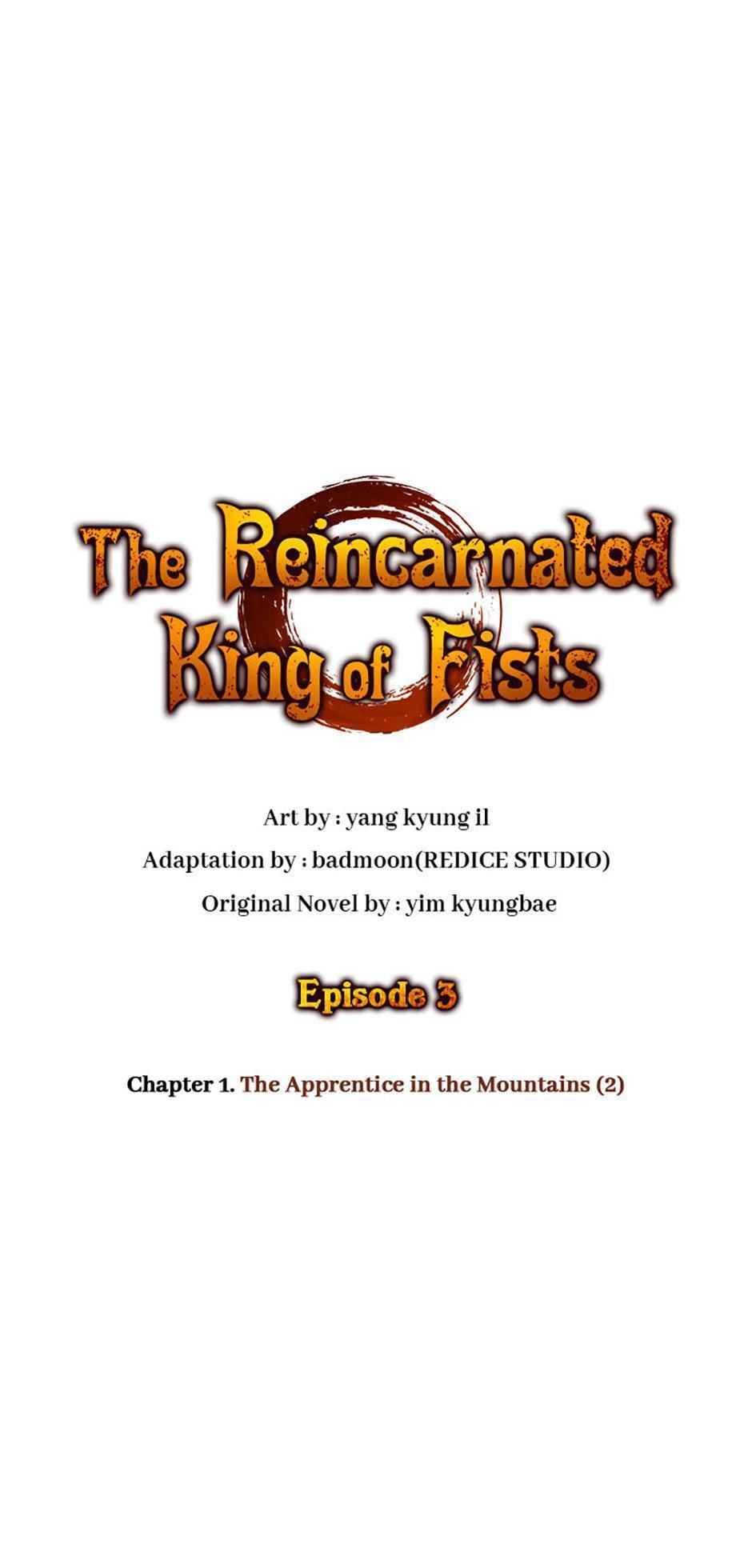 Read The Reincarnated King of Fists Manga Online