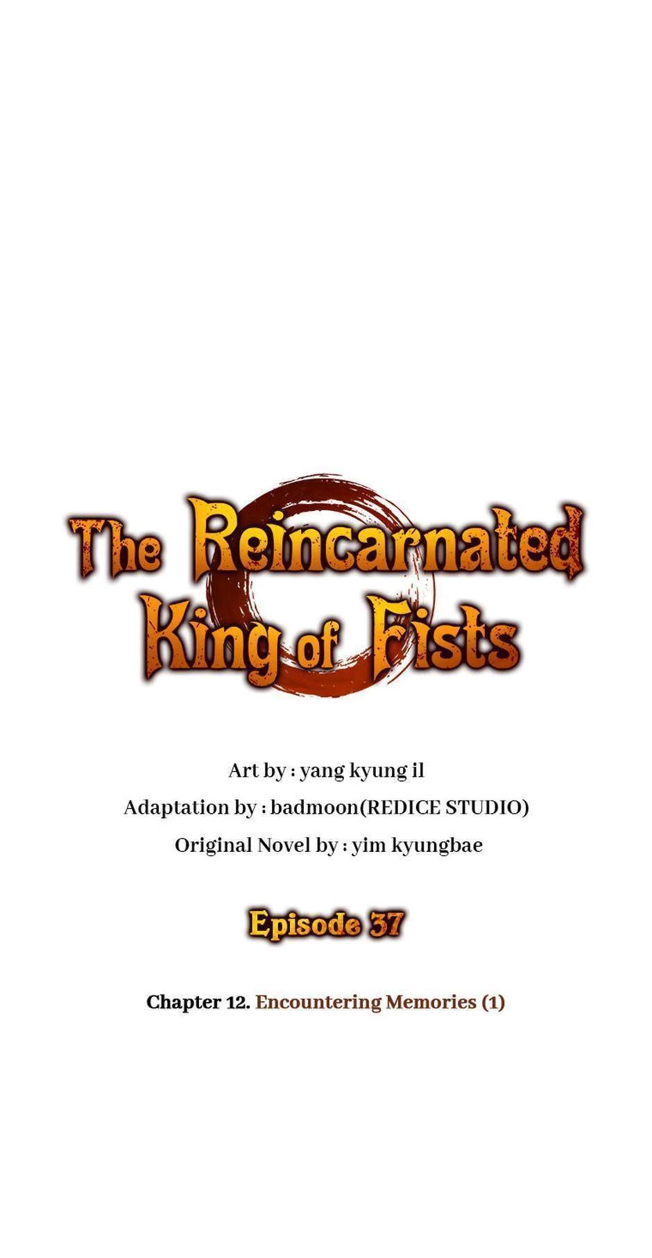 Read The Reincarnated King of Fists Manga Online