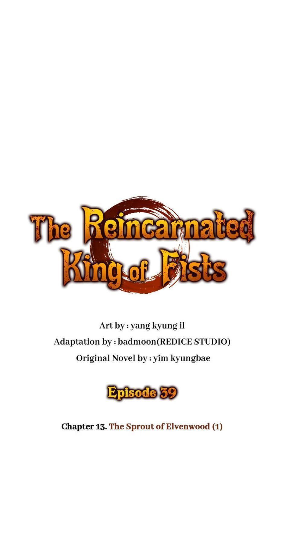 Read The Reincarnated King of Fists Manga Online