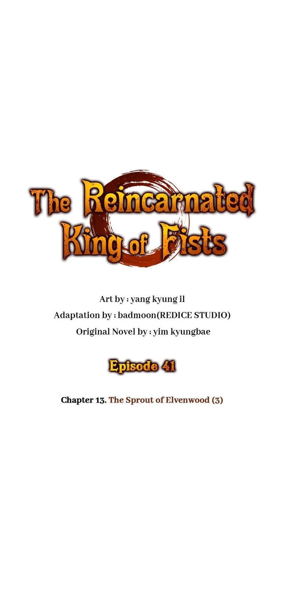 Read The Reincarnated King of Fists Manga Online
