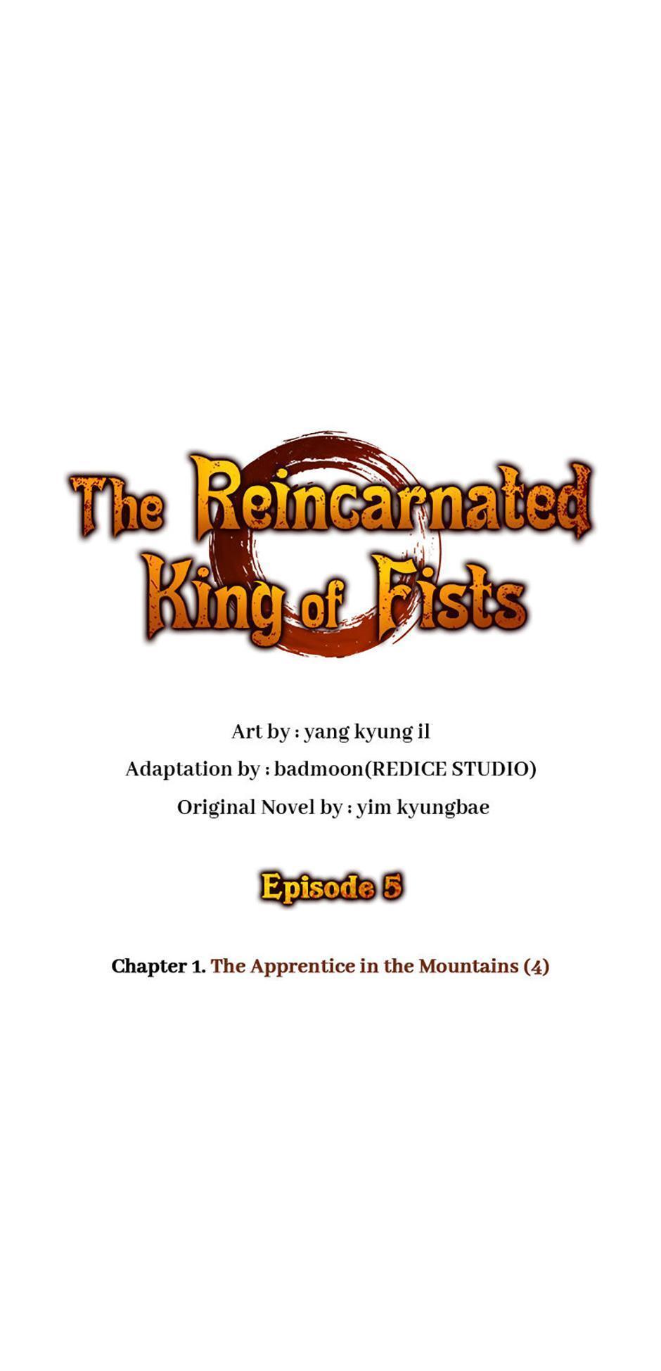 Read The Reincarnated King of Fists Manga Online