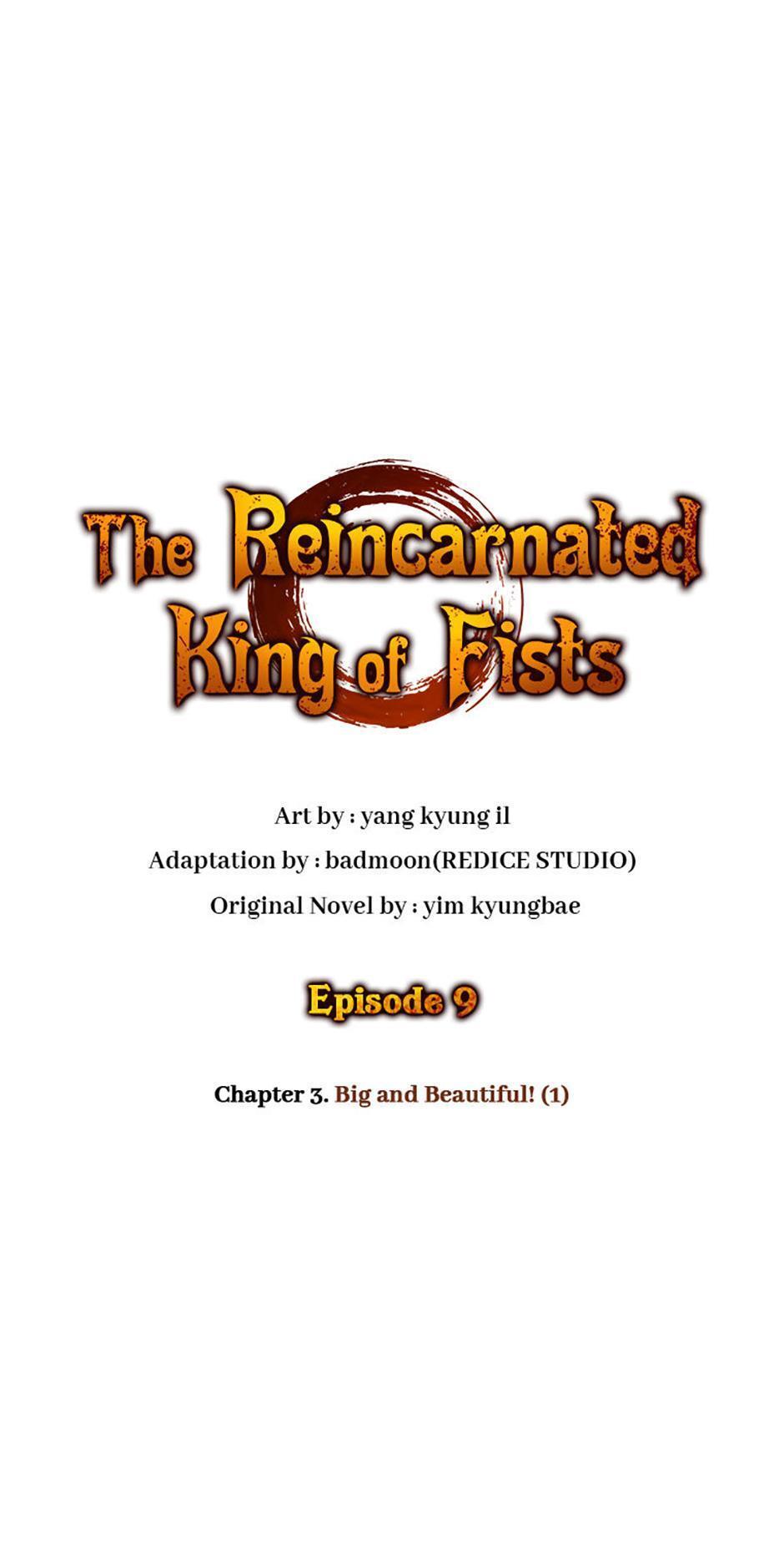 Read The Reincarnated King of Fists Manga Online