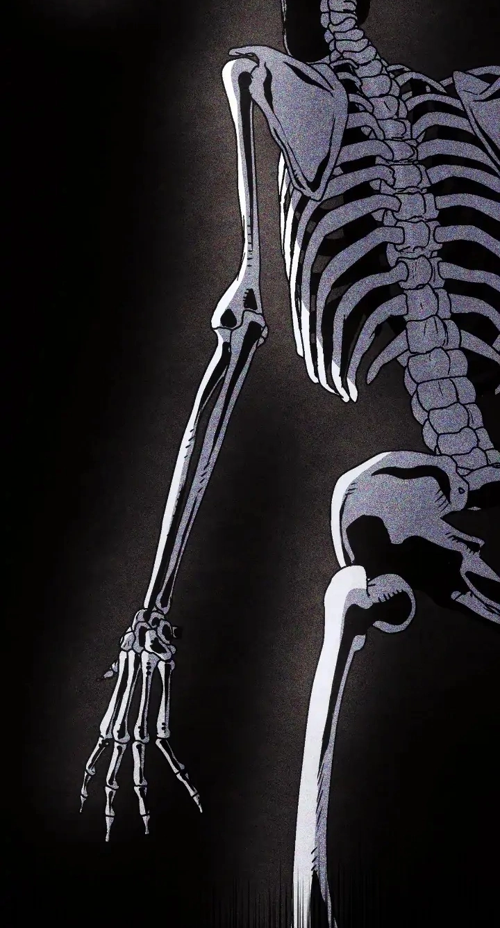 Read The Skeleton Soldier Failed to Defend the Dungeon Manga Online