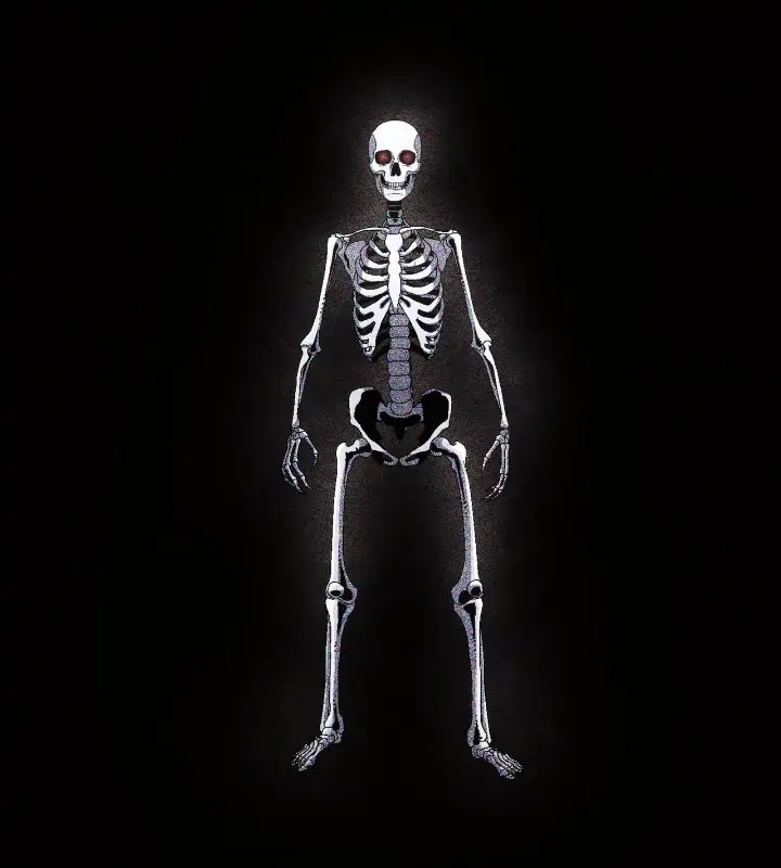 Read The Skeleton Soldier Failed to Defend the Dungeon Manga Online