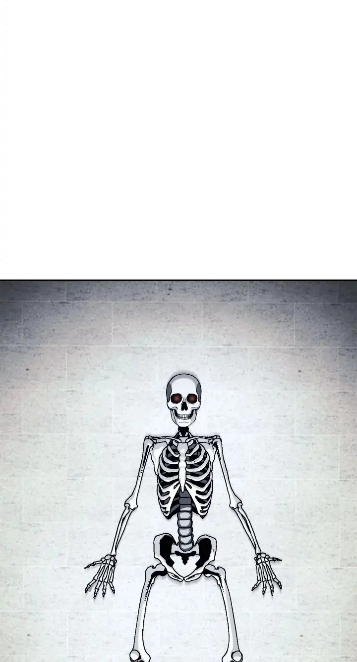 Read The Skeleton Soldier Failed to Defend the Dungeon Manga Online