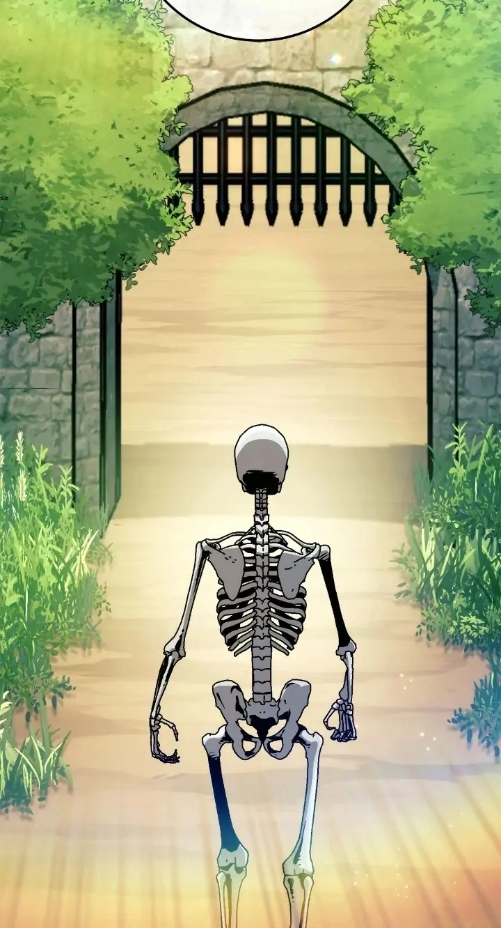Read The Skeleton Soldier Failed to Defend the Dungeon Manga Online