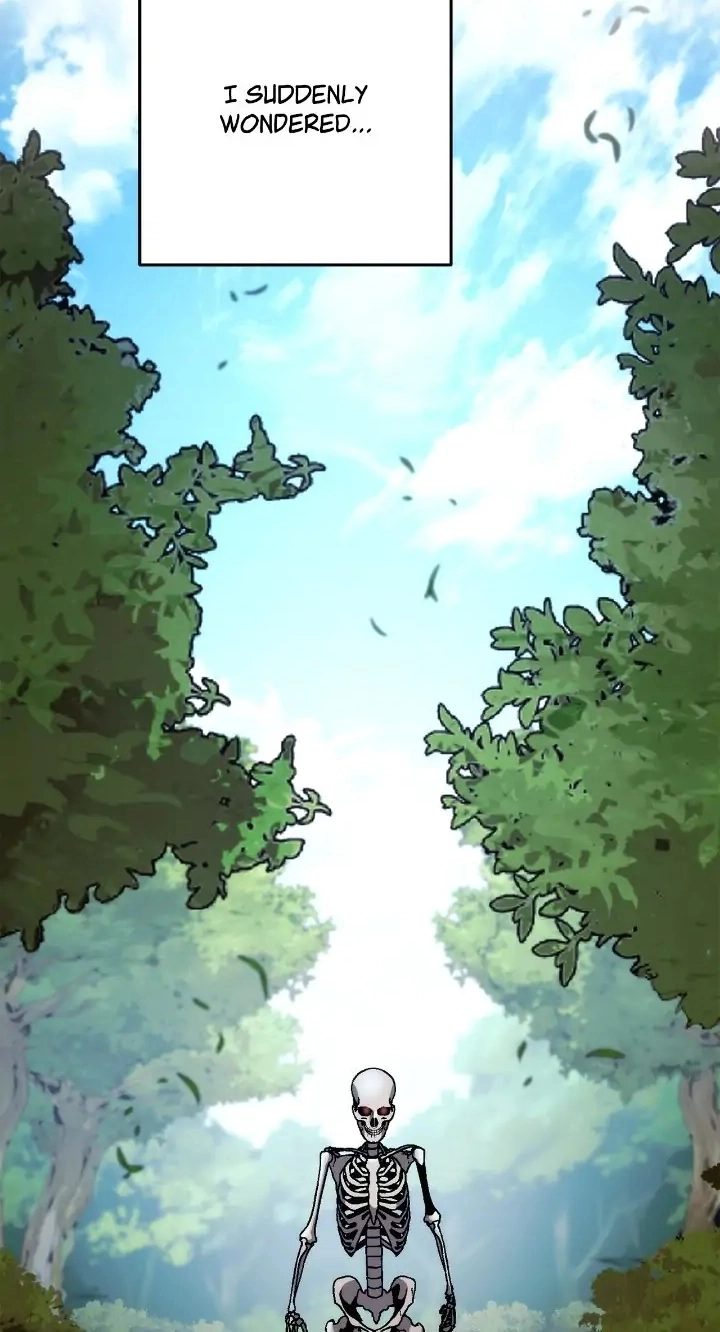 Read The Skeleton Soldier Failed to Defend the Dungeon Manga Online