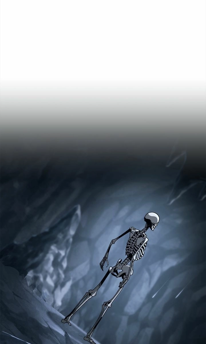 Read The Skeleton Soldier Failed to Defend the Dungeon Manga Online