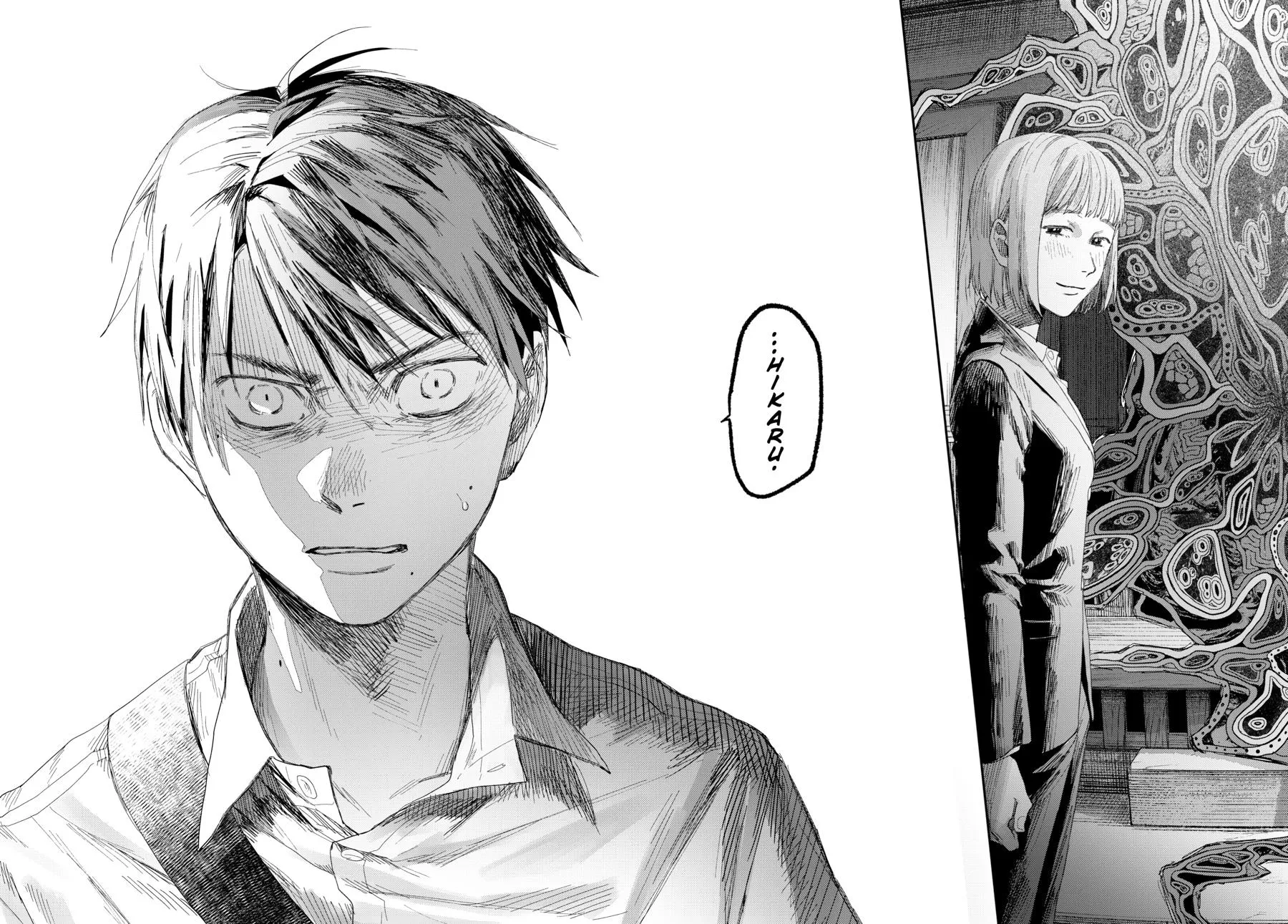 Read The Summer Hikaru Died Manga Online