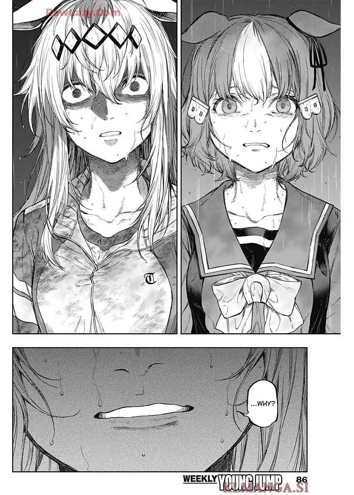 Read Uma Musume- Cinderella Gray Manga Online