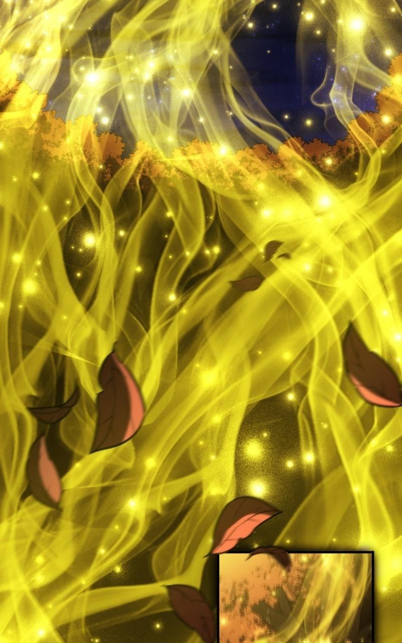 Read Wild Ranker Manga Online