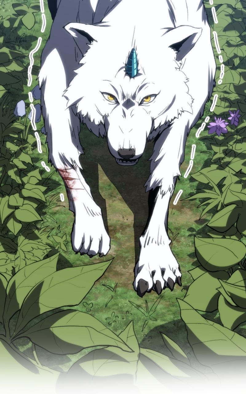 Read Wild Ranker Manga Online