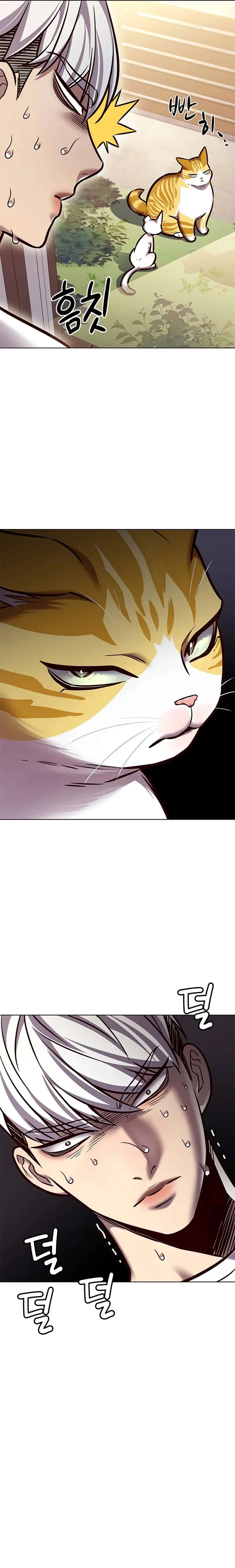 Read Eleceed: Velocidad electrica ES Manga Online