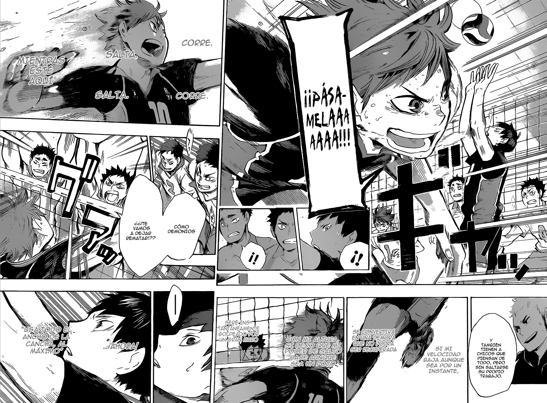 Read Haikyuu ES Manga Online