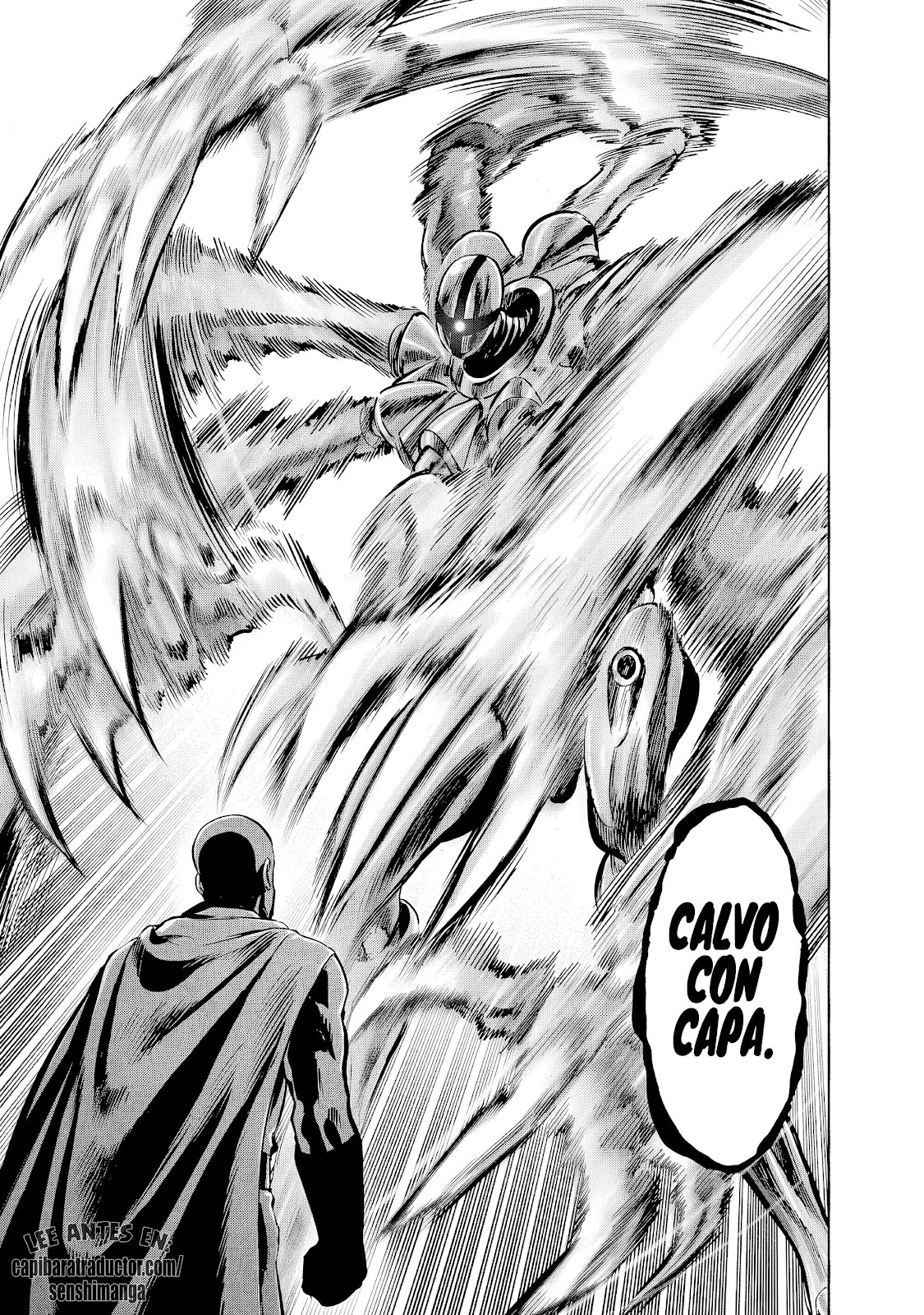 Read One Punch-Man ES Manga Online
