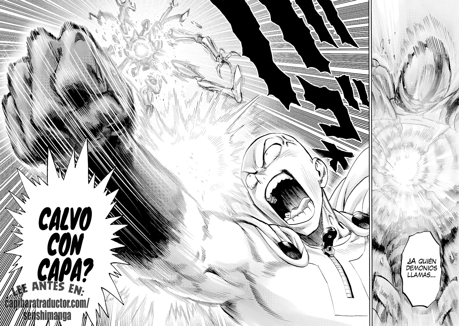Read One Punch-Man ES Manga Online