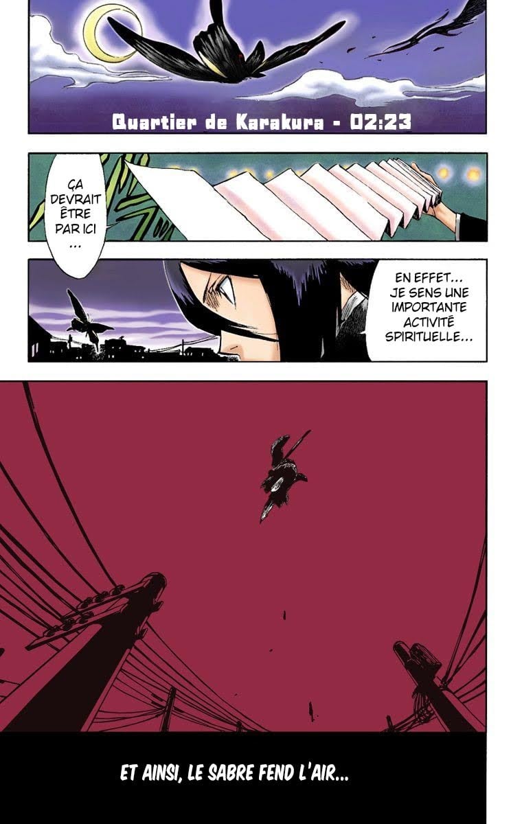 Read Bleach FR Manga Online
