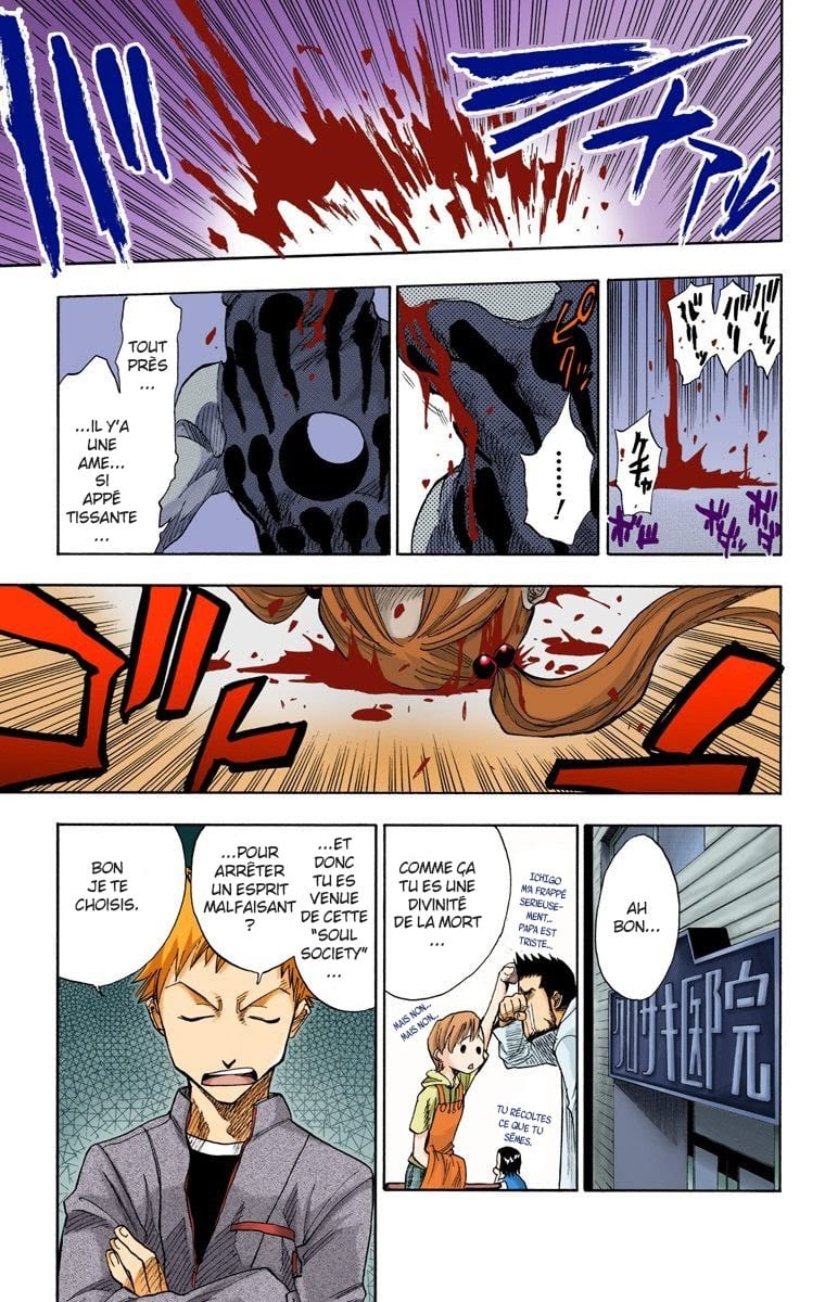 Read Bleach FR Manga Online