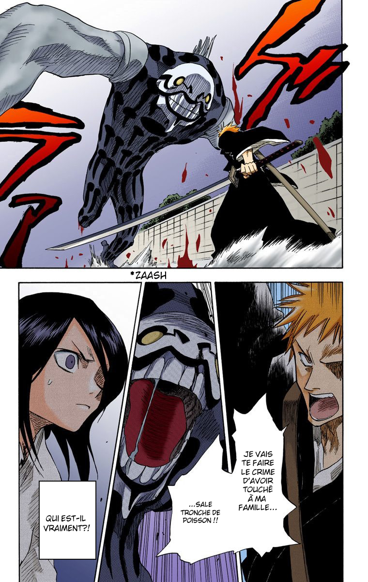 Read Bleach FR Manga Online