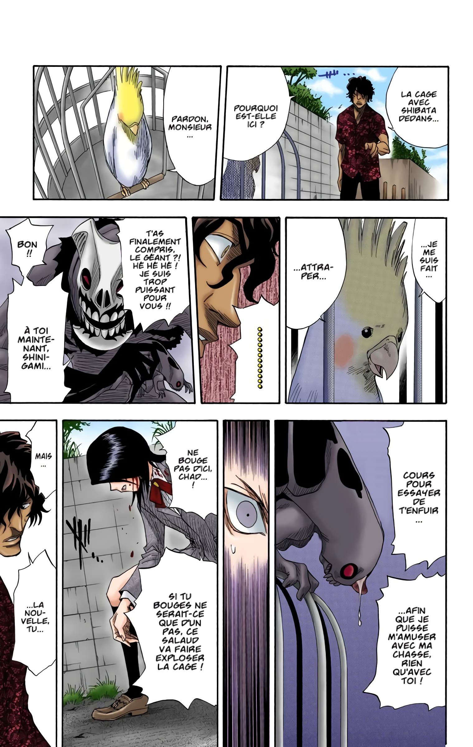 Read Bleach FR Manga Online