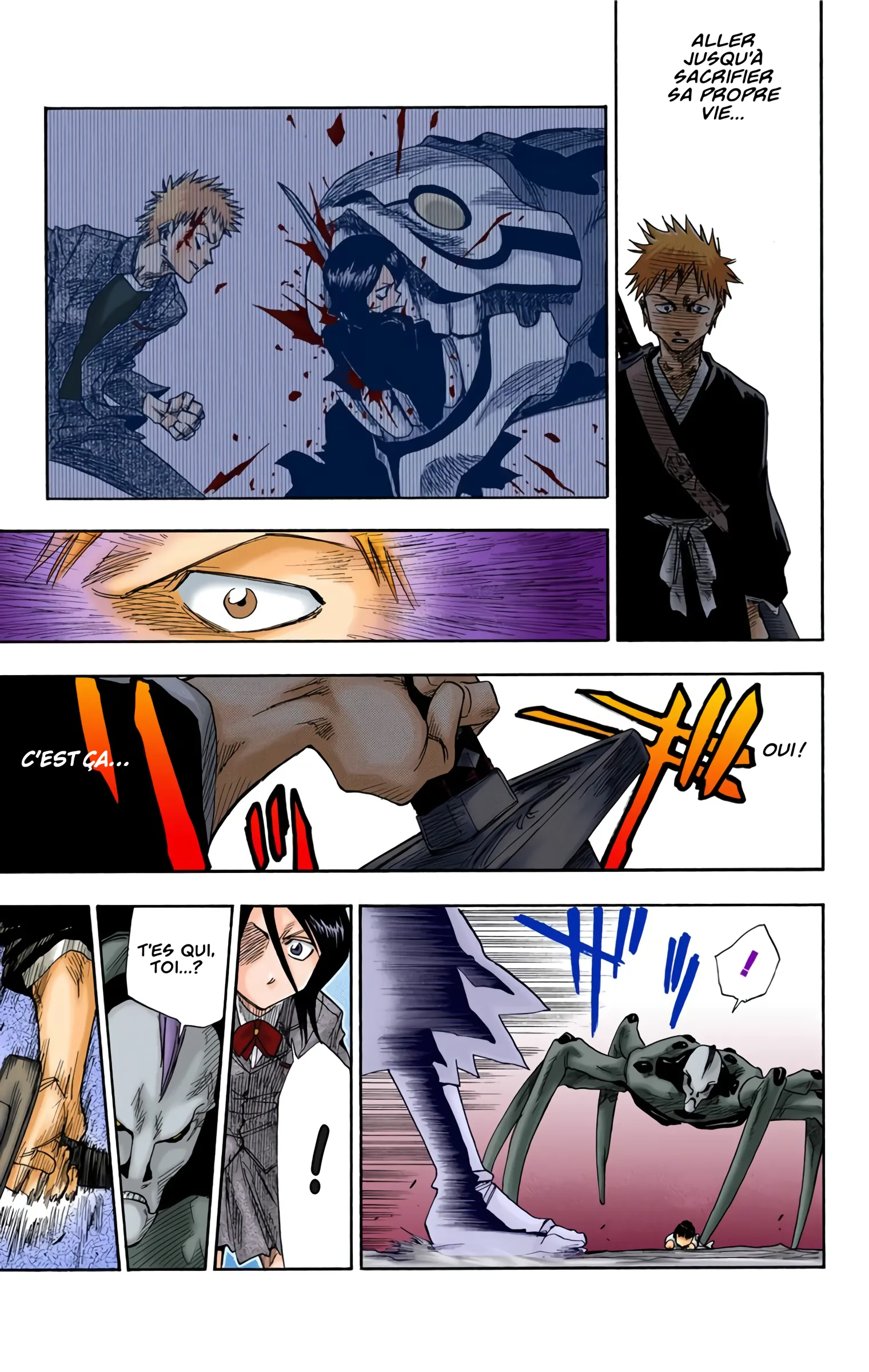 Read Bleach FR Manga Online