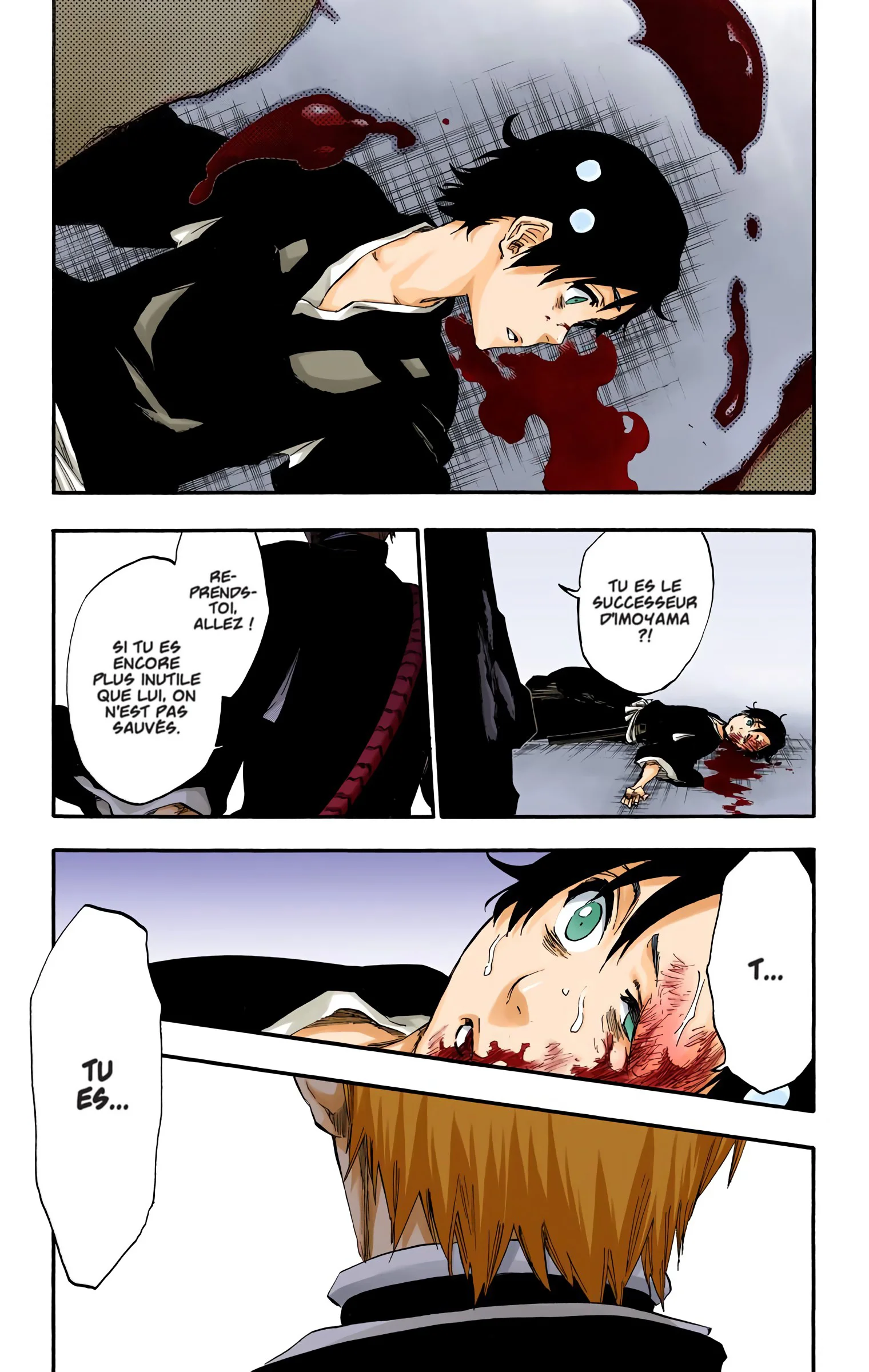 Read Bleach FR Manga Online