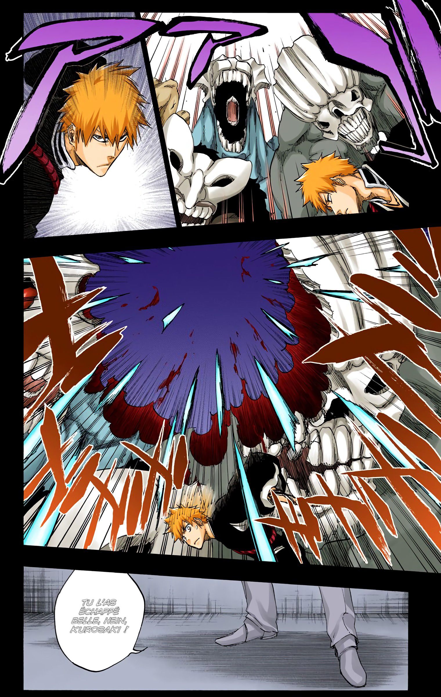 Read Bleach FR Manga Online